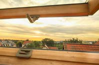 rated Axton roof window companies